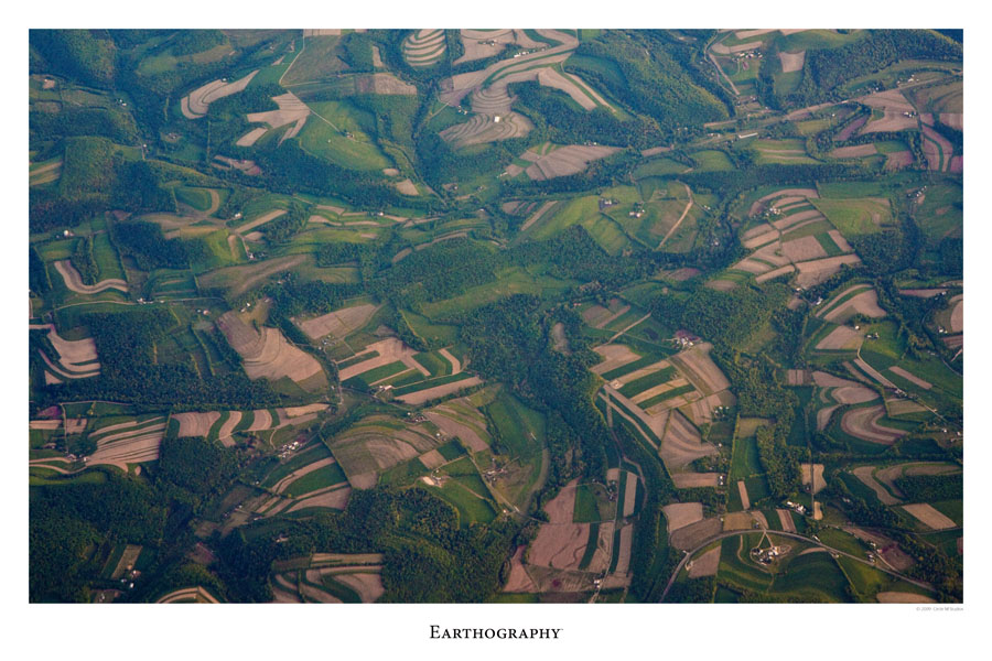 E11-fields