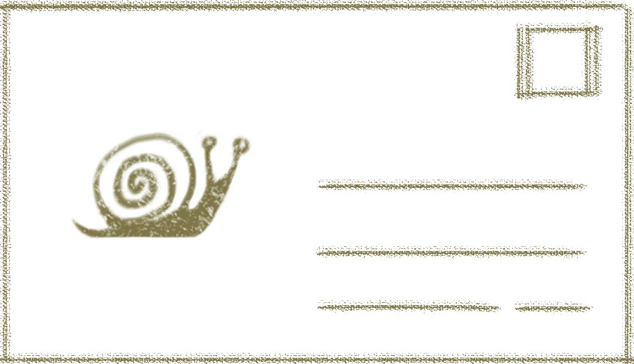 snail
